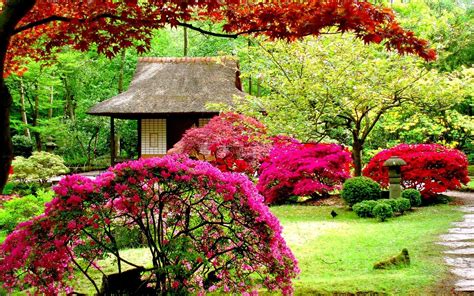 1080P Garden Background Hd Images For Photoshop : 1920x1080 39 volny ...