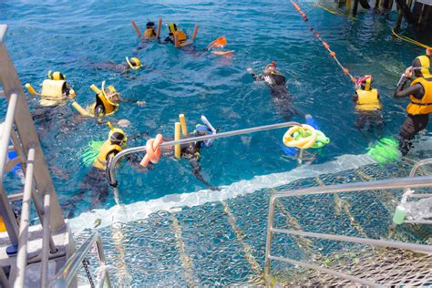 Snorkeling the Great Barrier Reef - Sweet Tea Sweetie