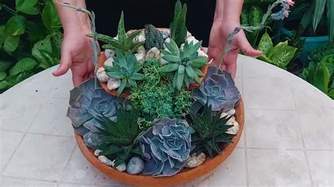 How To Make An Indoor Succulent Garden | Succulents Arrangement - YouTube