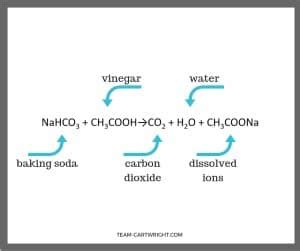 vinegar-and-baking-soda-reaction-2-1 | Hess Un-Academy