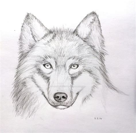 How to Draw Wolves With Emotonal Faces - Burch Agge1977