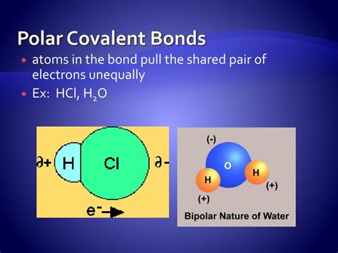 PPT - Bond Polarity and Molecules PowerPoint Presentation, free ...