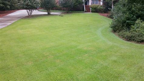 Zoysia lawn maintenance w Tommy C./ Tommy's Landsc - YouTube