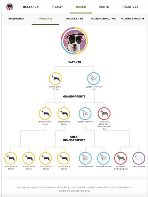 About the Family Tree. – Embark