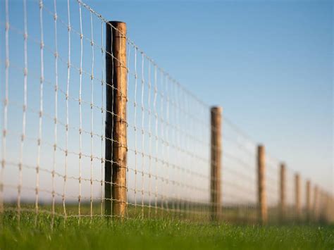 Agricultural fencing - DURA2 - UK