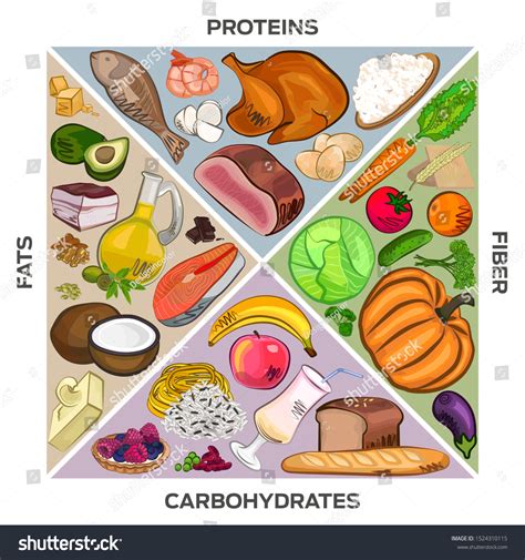 Diet Diet Proteins Fats Carbohydrates Fiber Stock Vector (Royalty Free ...