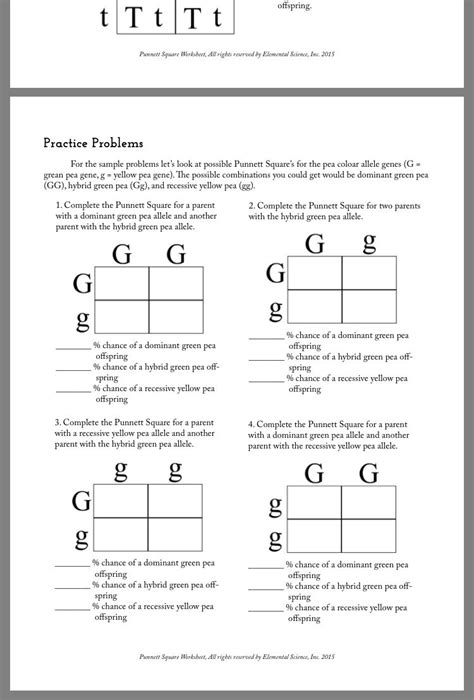 Punnett Square Worksheets