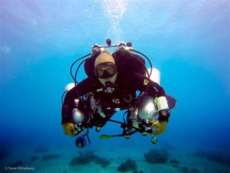 Egyptian Scuba Diver Ahmed Gabr Plunges 1,066 Feet to Set World Record ...