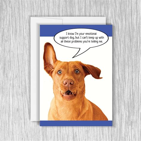 Funny Dog Birthday Card, Funny Birthday Card, Funny Greeting Card for ...