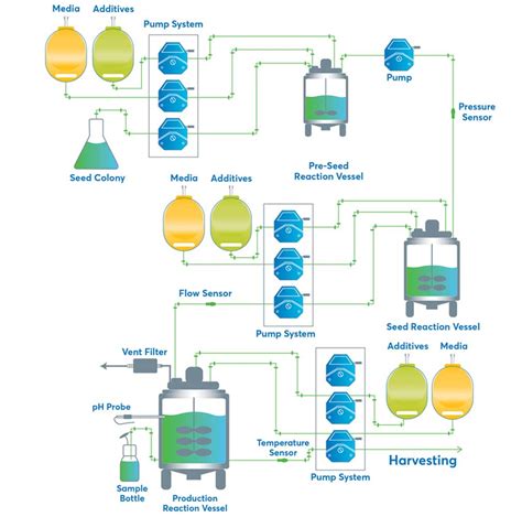 Bioprocessing Fermentation Process Workflow - Products from Masterflex ...