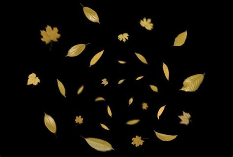 Free Leaf Overlays for Photoshop – 300 Autumn Overlays