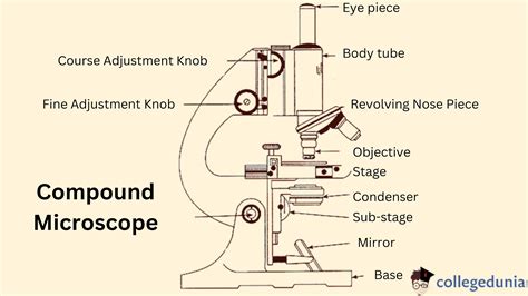 Microscope Mechanism