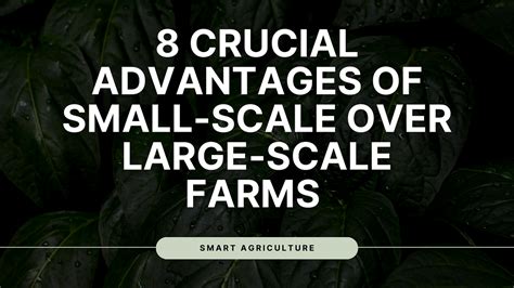 Small vs Large Farms: 8 Key Benefits of Small-Scale Farming | U ...