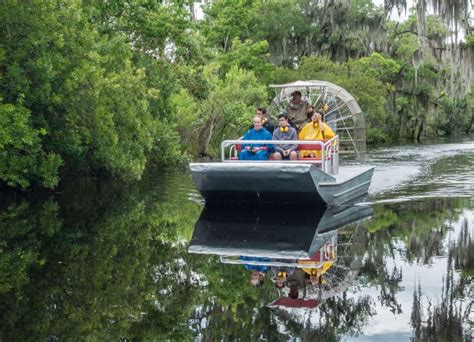 New Orleans Swamp Tours: Everything You Need to Know