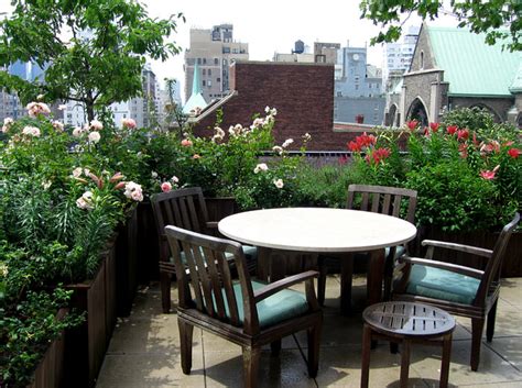 Best Terrace/Roof Garden Plants You should Grow