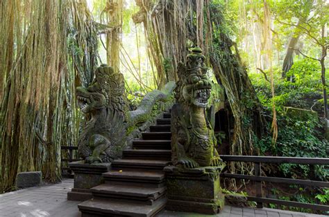 Ubud Monkey Forest, Ubud, Indonesia | Gokayu, Your Travel Guide