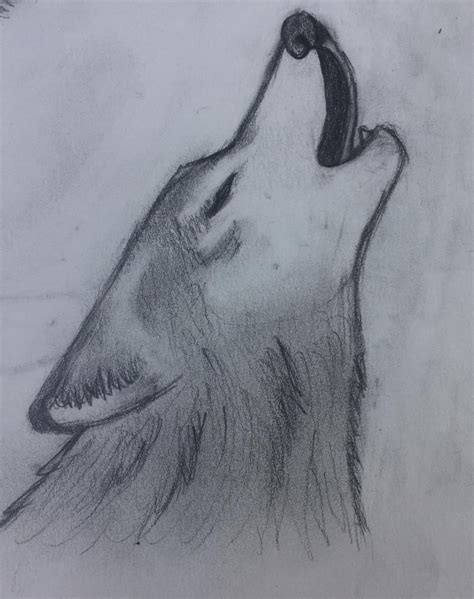 Howling wolf drawing | Easy drawings sketches, Wolf drawing, Cool wolf ...