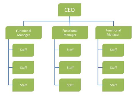 Functional Organizational Structure - ma