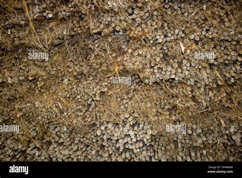 Seamless jute texture hi-res stock photography and images - Alamy