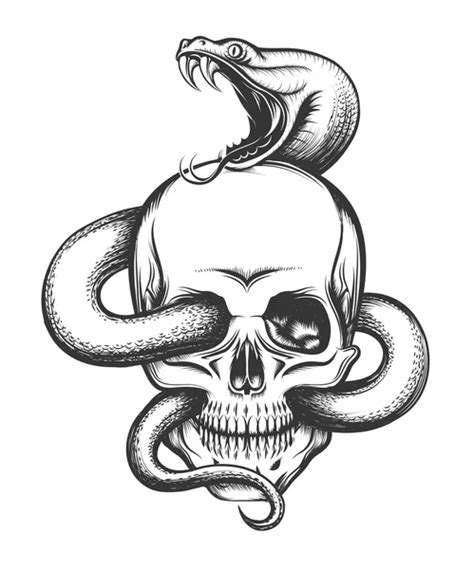 Snake Human Skull Hand Drawing Vintage Engraving Illustration Tattoo ...