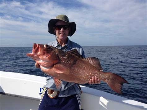 Red Grouper Fishing | Got One Sportfishing