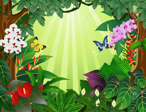 rainforest clipart images 10 free Cliparts | Download images on ...