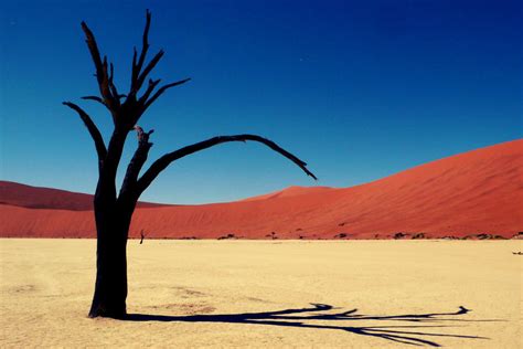 The Most Beautiful Desert Landscapes Of The World | Bored Panda