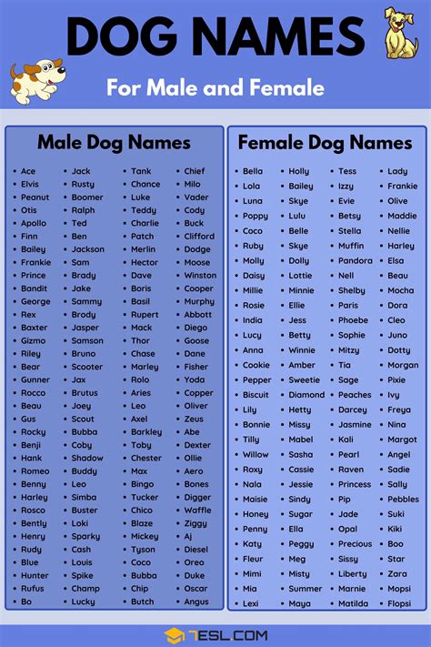 What Are Some Popular Names For Female Dogs