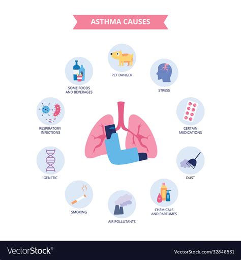 Infographics bronchial asthma causes flat Vector Image