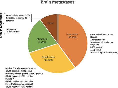 Frontiers | Tumor Primary Site and Histology Subtypes Role in ...