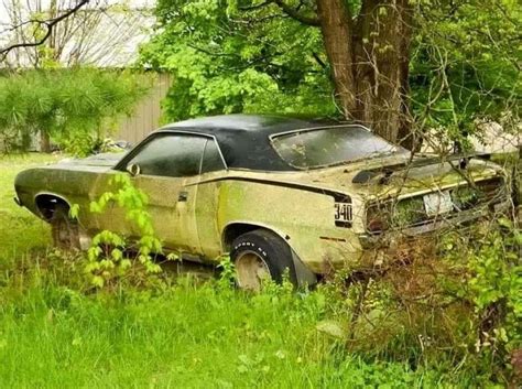 Pin by Alan Braswell on Rusty treasure and barn finds | Abandoned cars ...