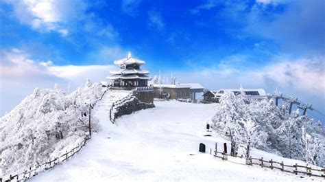 Winter in South Korea: Weather, Destinations & More | Bookmundi