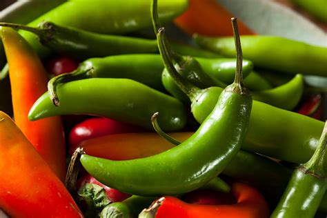 What Are Serrano Peppers?