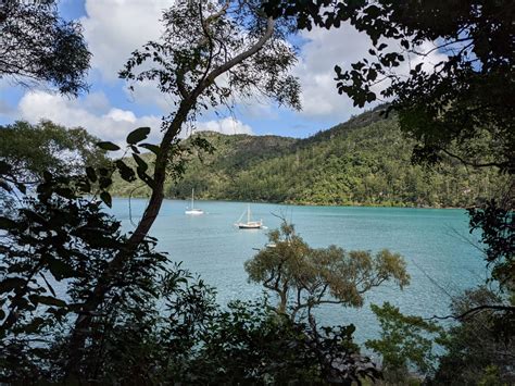 Whitsunday’s Part 1: Snorkelling on Hook Island | The Tiny TallShip