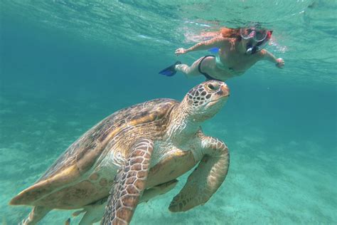 7 best Nassau Snorkeling locations in the Bahamas