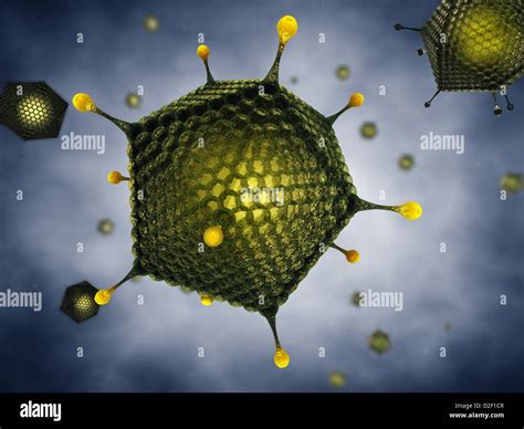 Icosahedral viruses , Adenoviridae , 3d illustration Stock Photo - Alamy