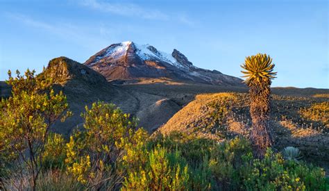 National Parks in Colombia - Our Favourite to Visit | Uncover Colombia