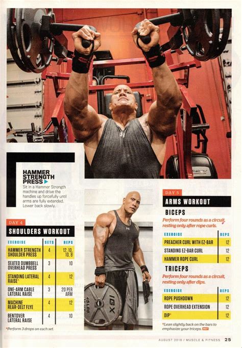 The Rock Shoulders and Arms Workout | The rock workout routine, The ...