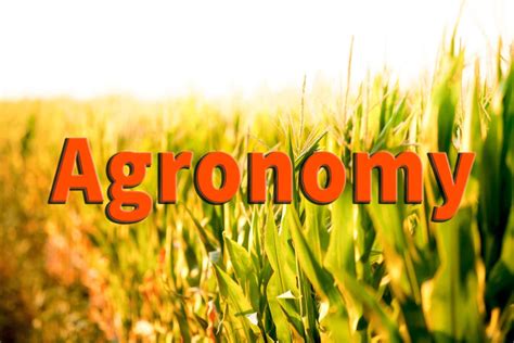 Agronomy: Definition, Meaning, Scope of Agronomy - Paper Tyari