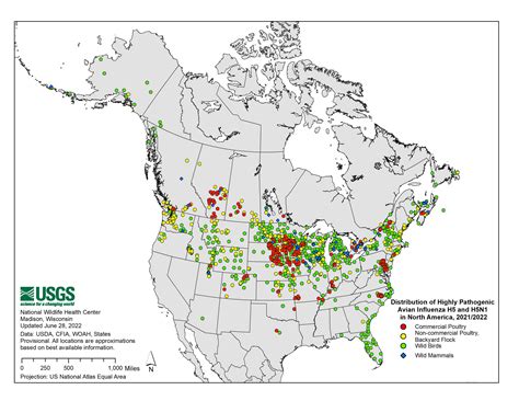 Avian Flu Outbreak 2024 Map - Allina Antonella