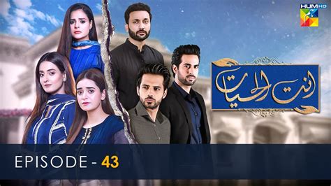 Ant Ul Hayat - Episode 43 - 15th September 2022 - HUM TV Drama - YouTube