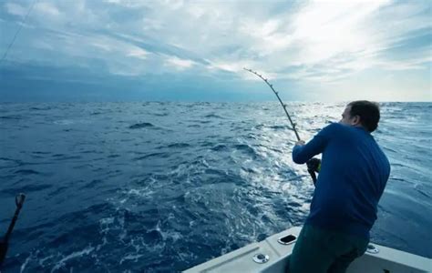 Deep Sea Fishing Tips For A Beginners | Best Resource for Learning