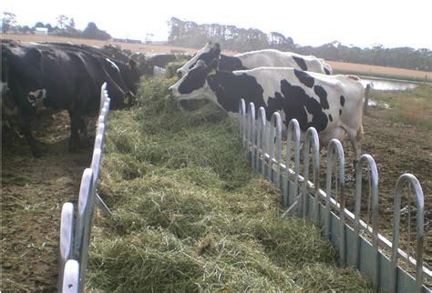 Paton Livestock Equipment |Hay Feeders Archives - Paton Livestock ...