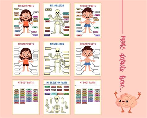 Human Anatomy for Kids, Body Parts, Busy Book, Learning Book PDF ...