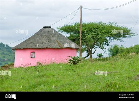 Rondoval round house Zulu Village Zululand South Africa Stock Photo - Alamy