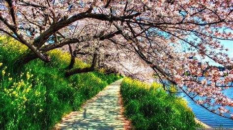 Spring Nature Wallpapers - Top Free Spring Nature Backgrounds ...