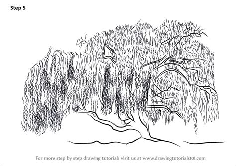 Learn How to Draw a Willow Tree (Trees) Step by Step : Drawing Tutorials