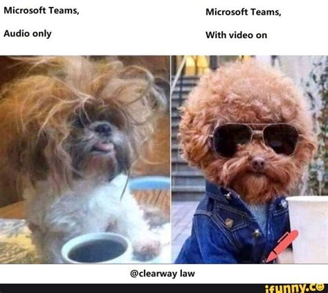 Microsoft_teams memes. Best Collection of funny Microsoft_teams ...