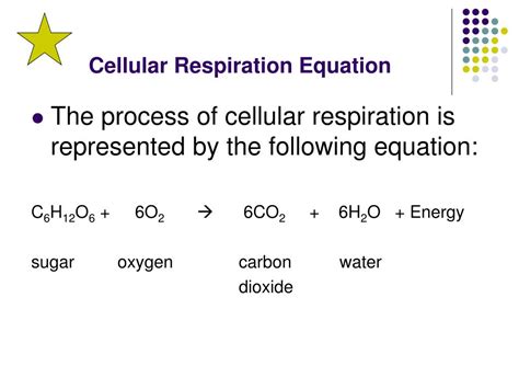 Cellular Respiration Equation