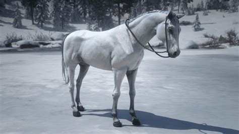 Download Free 100 + white arabian horse rdr2 Wallpapers